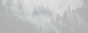 Produits Blackpines-blackpines.fr