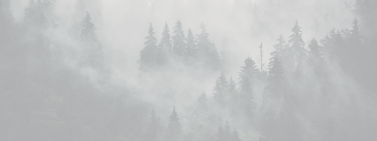 Casquettes Blackpines