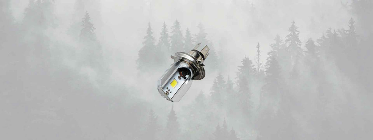 Collection d'ampoules LED sur Blackpines.fr