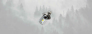 Collection d'ampoules LED sur Blackpines.fr