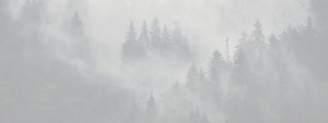 Outillages-blackpines.fr