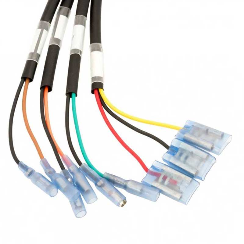 Adaptateur faisceau cablage multi Motone pour Triumph LC. Blackpines.fr