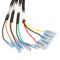 Adaptateur faisceau cablage multi Motone pour Triumph LC. Blackpines.fr